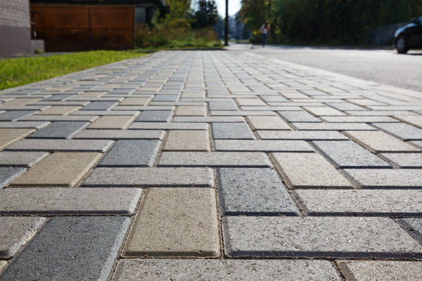 Best Local Driveway Pavers  in Cassopolis, MI